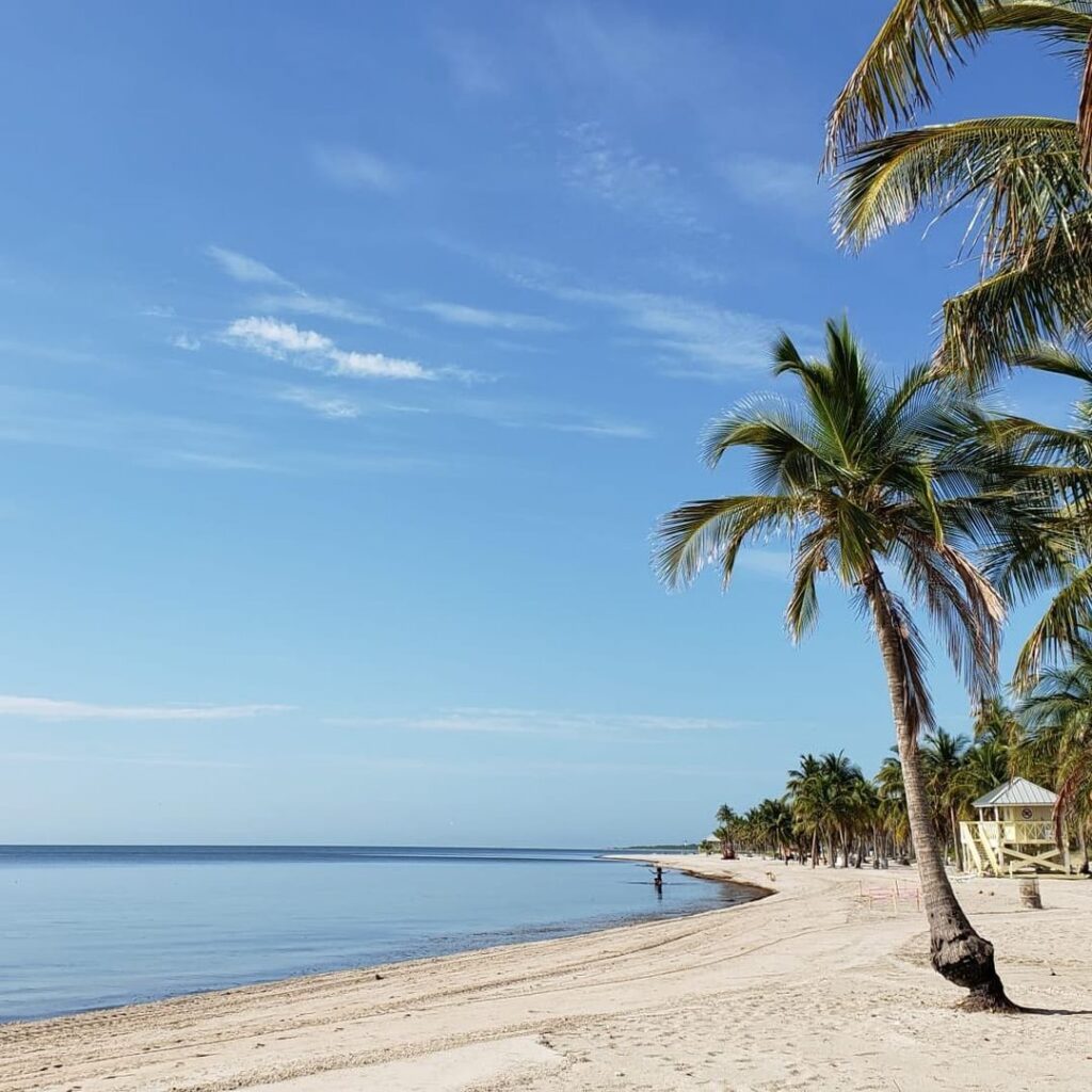 Playa Key Biscayne Crandon Palmas Playa Key Biscayne Crandon Palmas