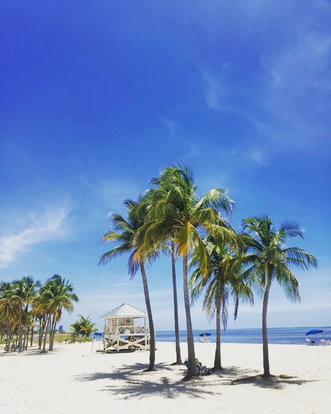 Playa Key Biscayne Crandon Playa Key Biscayne Crandon