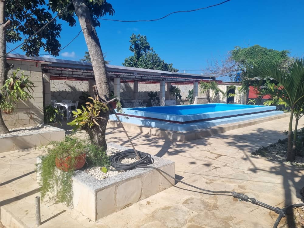 entorno-los-palamares Entorno de la casa para celebraciones Las Palmeras